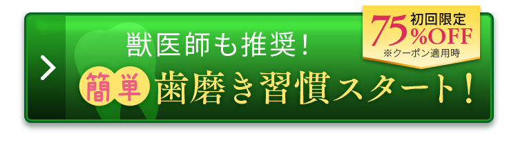 簡単歯磨き習慣スタート！