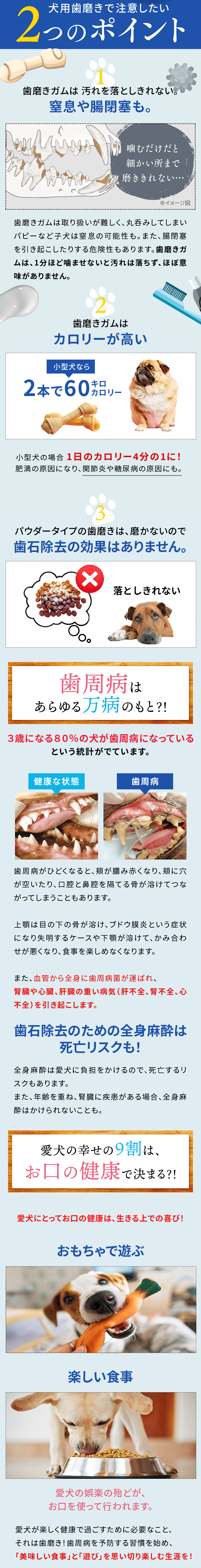 2つのポイント