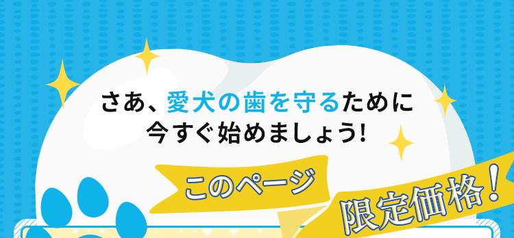 このページ限定価格