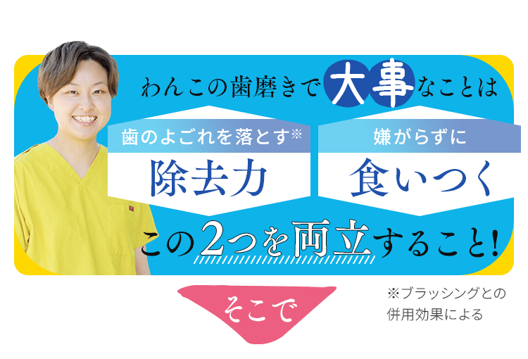 わんこの歯磨きで大事なことは、除去力と食いつくこの2つを両立すること！