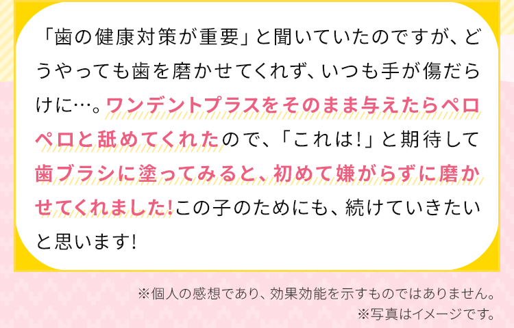 歯ブラシに塗ってみると、初めて嫌がらずに磨かせてくれました!