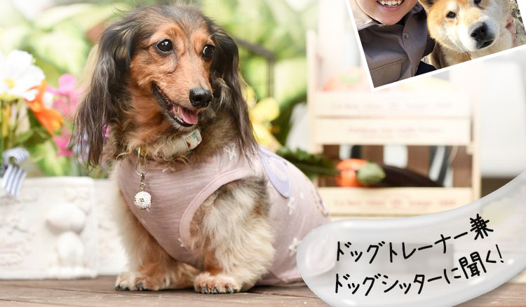 今のケアで本当に愛犬の歯を守れますか？